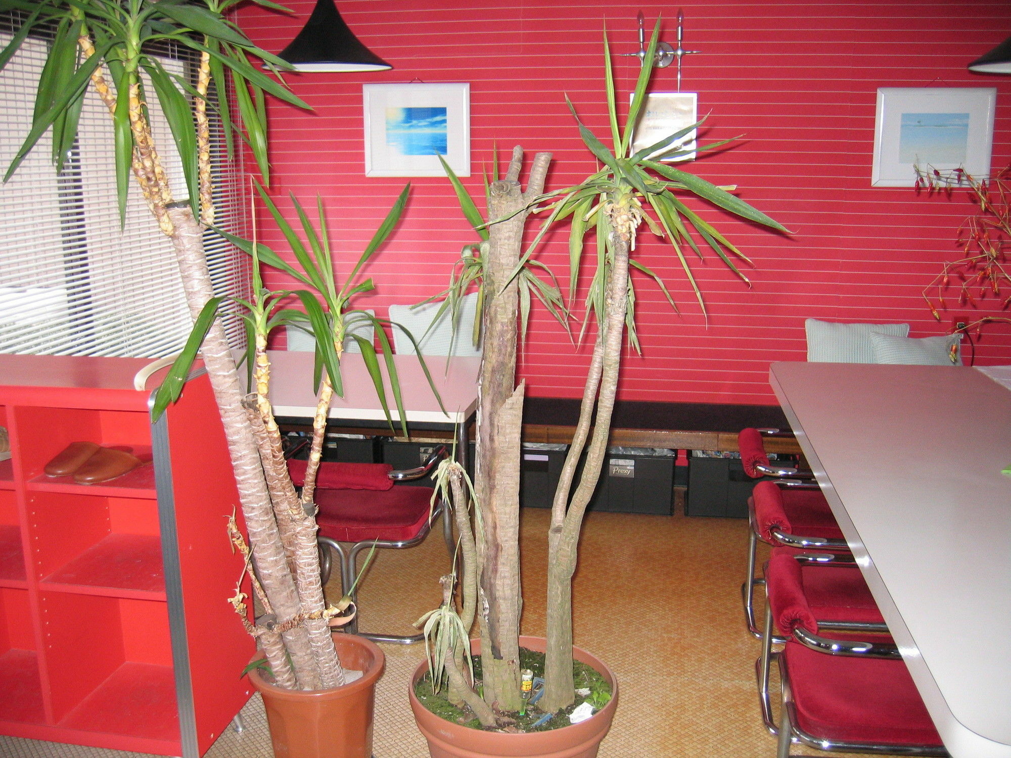 Pension Croissant Wajima Extérieur photo